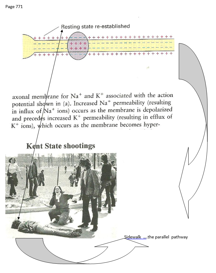 p-1135-10.PNG