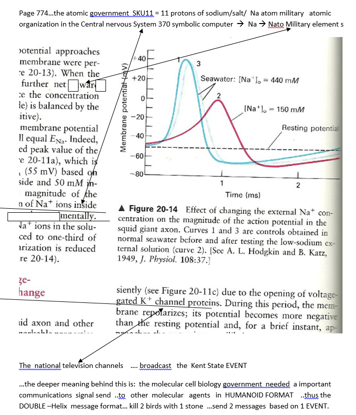 p-1135-11.PNG