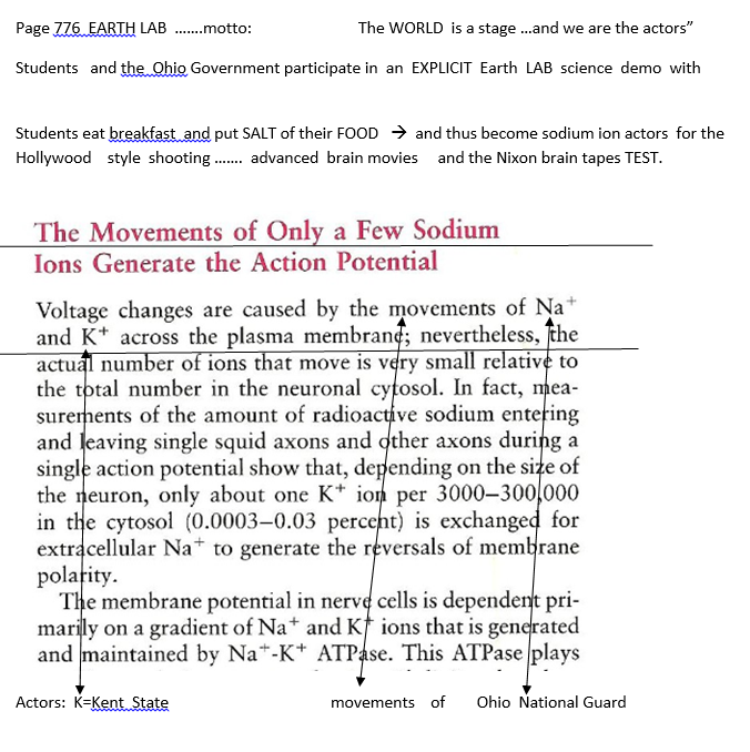 p-1135-12.PNG