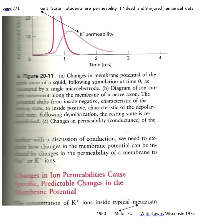 p-1135-9.PNG
